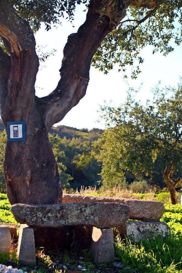 Quinta Da Utopia Castelo de Vide Extérieur photo